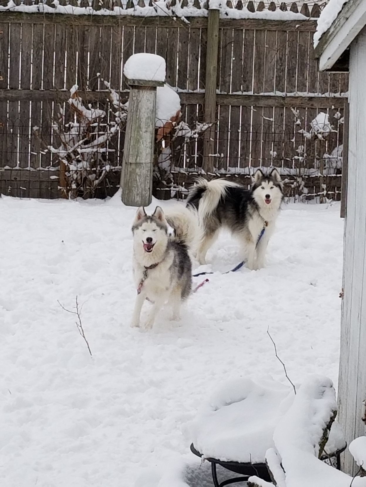Sasha and Sabrina